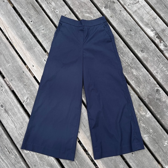 Aritzia Pants - Babaton Manolo Cropped Wide Leg Pant Sz 00